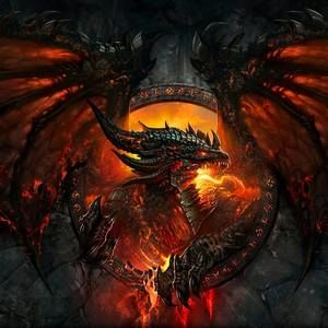 Meet your Posher, Karl